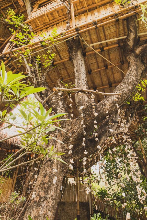 Eco Tree House Amed Hotel Bali Exterior photo